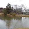 24-sam_2526